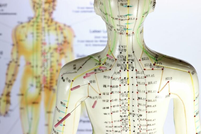 RareBird Acupuncture Meridians