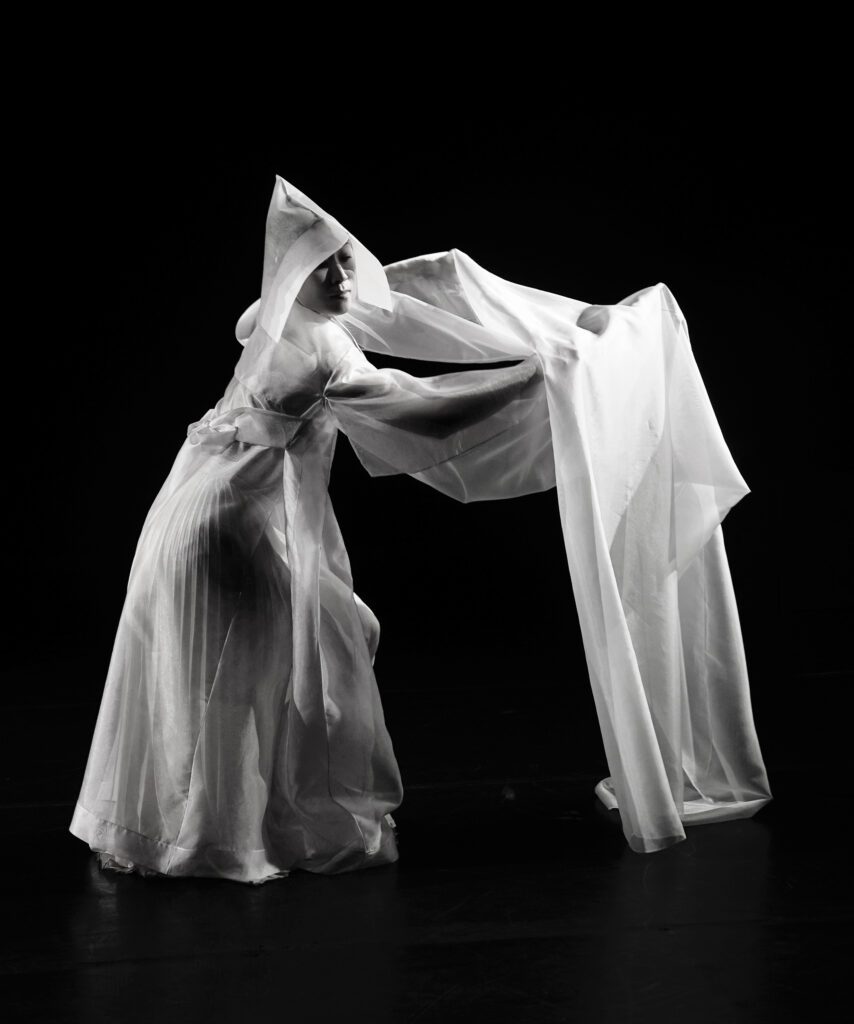 Shamanic Healing RareBird Acupuncture Jean Marie Loscalzo